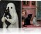 Framed Ghost & Black Cat Wall Art – Set of 2 Halloween Gothic Canvas Prints, Cute Spooky Cat & Ghost Pictures for Living Room, Bedroom, Kids Room, 12x16 Inch Ready to Hang